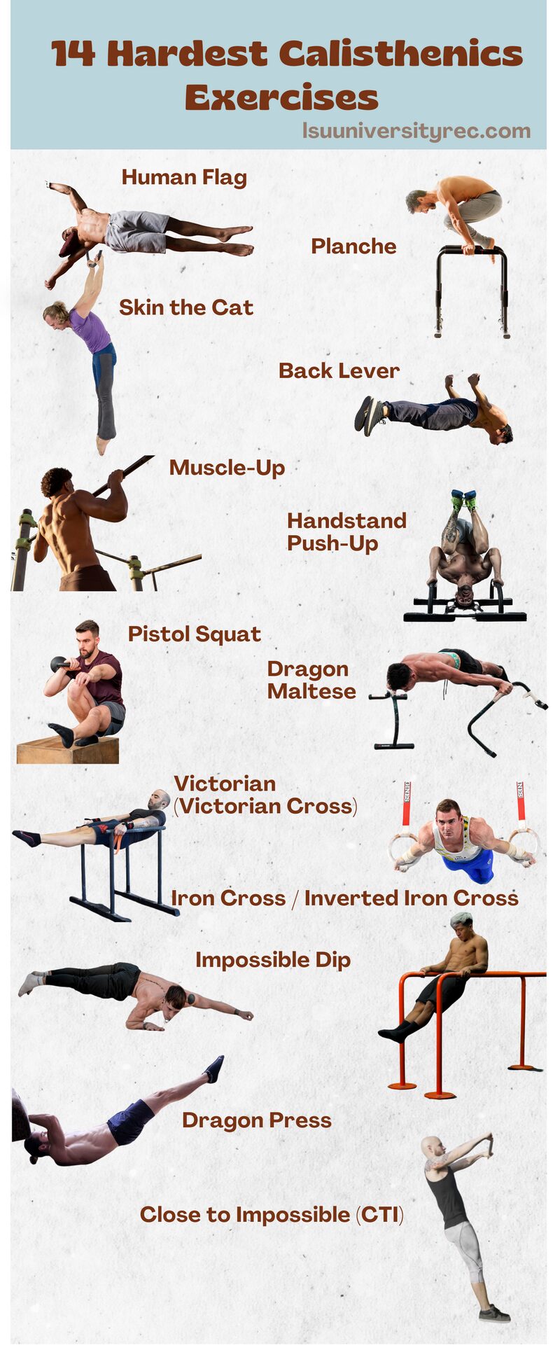 Different calisthenics exercises sale